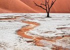 Richard Hall - Deadvlei Channel (Cooper Cup for best pictorial print).jpg : Dead Trees, Deadvlei, Namibia
